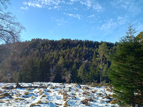 Kålhauadne.