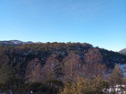 Rennedalen og Foreberg.