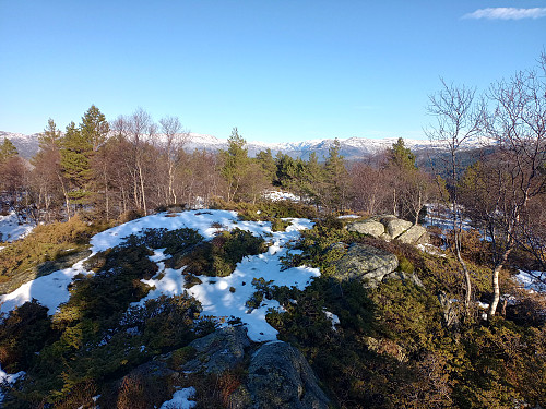Toppen av Foreberg, 379 moh.