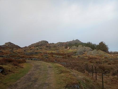 Syreglånå.
