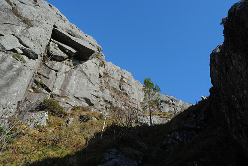Tilbakeblikk mot Gudbåredalen.