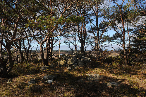 Toppunktet på den Navnlause Åsen ved Vestre Mjåvatnet, 97 moh.
