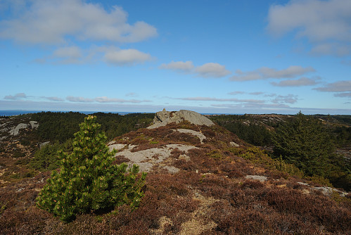 Toppen av Rossafjellet, 97 moh.