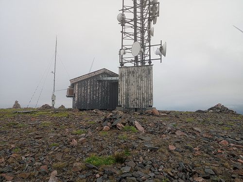 Toppen av Ånstablåheia, 503 moh.