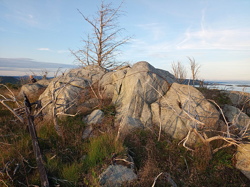 Toppen av Høvringåsen, 64 moh.