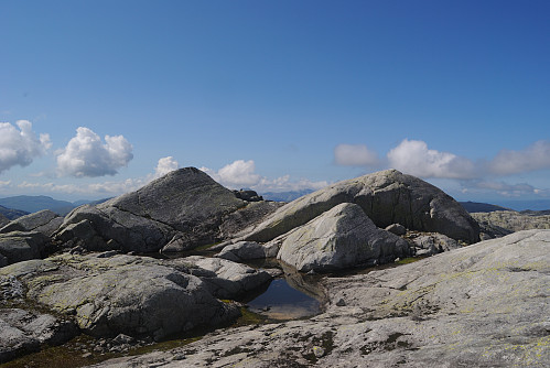 Høgaste punk på det navnlause fjellet, 1229 moh.