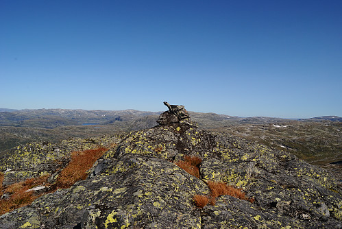 Toppen av Odlandsnoso, 1481 moh.