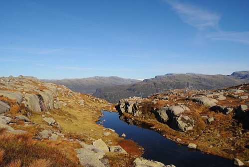 Idyllisk tjødn.
