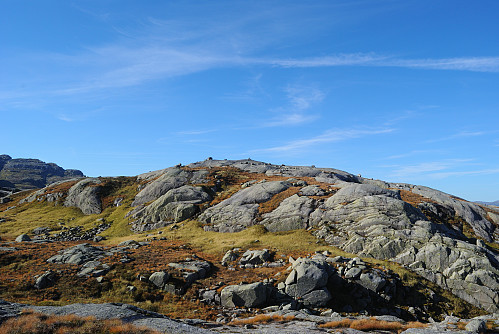 Suldalsheia.