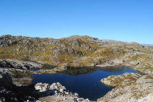 Sauanuten.