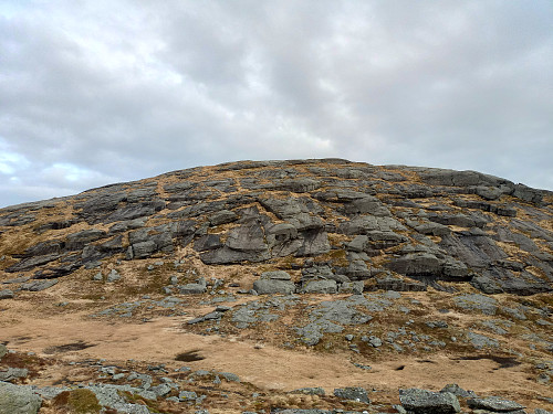 Gråhorgo.
