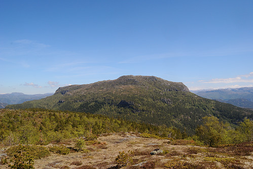 Tilbakeblikk mot Øksnafjellet.