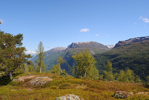 Rossnos i bakgrunnen.