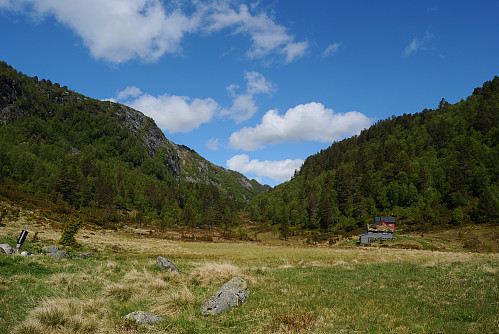 Stølsbeitet ved Lauvåsen.