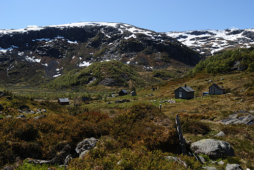 Eit anna stølsområde Vierdal.