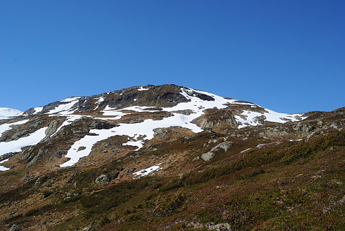 Utsyn mot Kvannanuten.