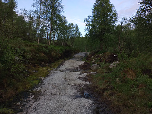 Berggrunnen naken, utan mose og jord.