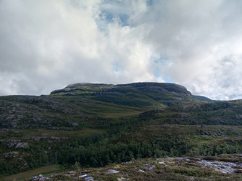 Høgaste i dag Vikestølheia, 831 moh.