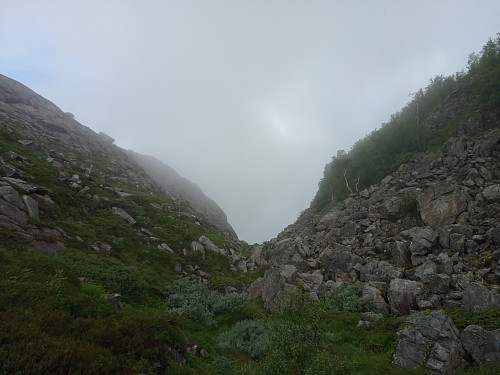 Tett skodde i Vindalen. 