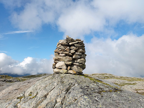 Toppen av Vikestølheia, 831 moh.