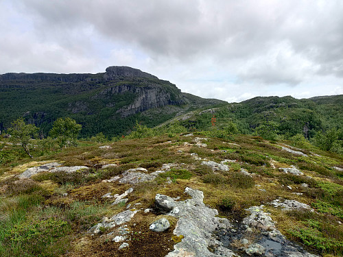 Høgaste punktet på platået ved Ritlandskrateret, 554 moh.