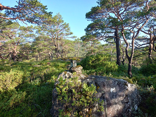 Toppen av Havråsen, 420 moh.