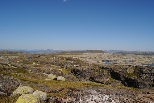 Størsteparten av berggrunnen her er Granitt. Knutane derimot er omringa av fylitt ein bergart som gir god vekst.