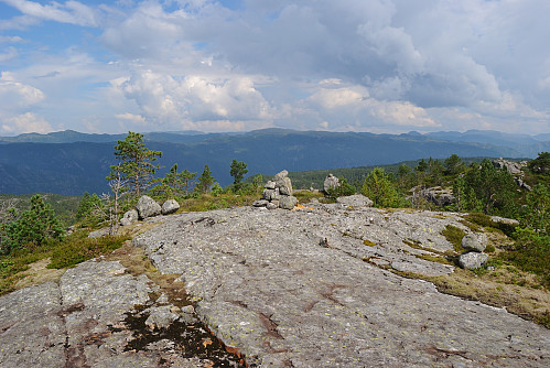 Toppen av Åsaheia, 544 moh.