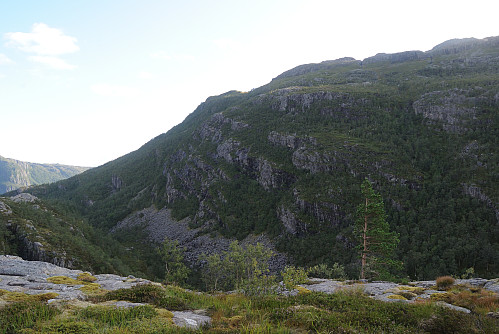 Den bratte fjellsida eg gjekk ned.