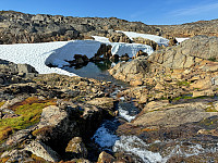 MichaelNorge_20241004_67002d116d0fd.jpg