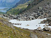 MichaelNorge_20241013_670bed9c6f8ed.jpg