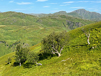 MichaelNorge_20241018_6712b651382ac.jpg