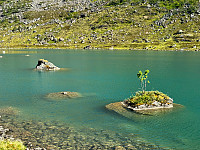 MichaelNorge_20241018_6712b984d20a8.jpg