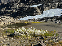 MichaelNorge_20241018_6712b99d23665.jpg