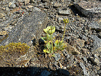MichaelNorge_20241018_6712b9d5f0918.jpg