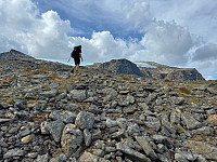 MichaelNorge_20241018_6712bb588bd2d.jpg