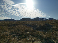 kristoffergh88_20240801_66abd21042580.jpg