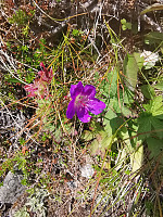 kristoffergh88_20240801_66abd211a00ee.jpg