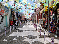 MathiasMikkelsen_20230104_63b5c9965316c.jpg