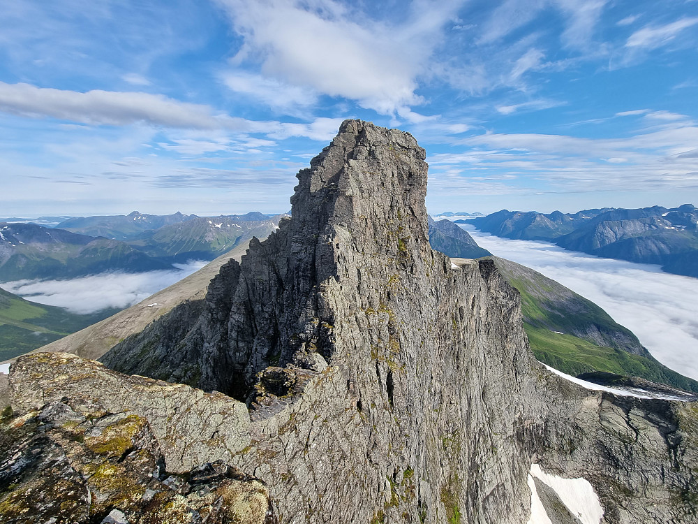 Sydryggen av Skårasalen