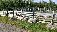 gjermundjohansen_20240803_66add4f5b2cb5.jpg