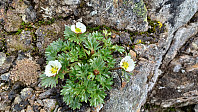 gjermundjohansen_20240803_66add50154d77.jpg