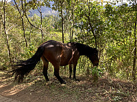 tropd_20210719_60f5f22cee874.jpeg