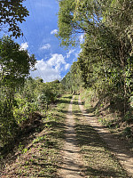 tropd_20210719_60f5f22f50839.jpeg