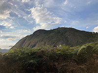 tropd_20210719_60f5f279960b8.jpeg