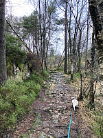tropd_20220102_61d19508191cb.jpeg