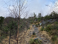 tropd_20220102_61d195105a06d.jpeg