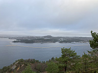 tropd_20220102_61d19513c247d.jpeg