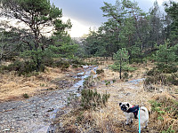 tropd_20220102_61d195260a6ad.jpeg
