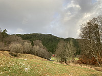tropd_20220104_61d4709c7a1c4.jpeg
